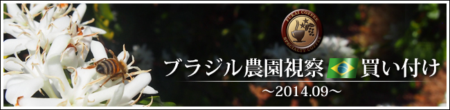 ブラジル農園視察