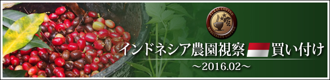 インドネシア農園視察